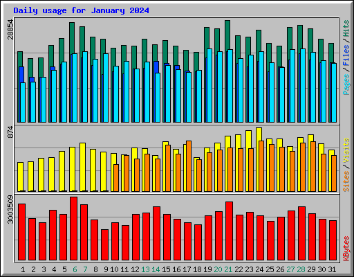 Daily usage for January 2024