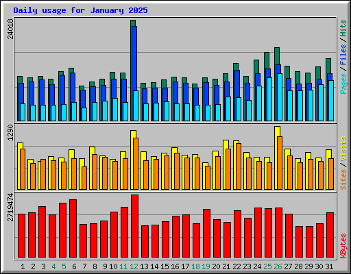 Daily usage for January 2025