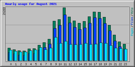 Hourly usage for August 2021