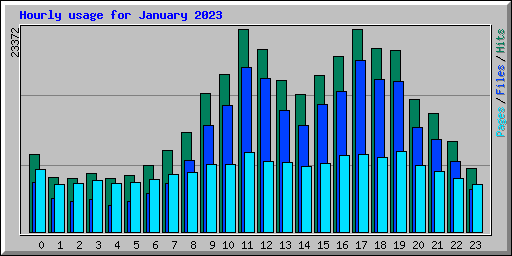 Hourly usage for January 2023