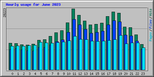 Hourly usage for June 2023
