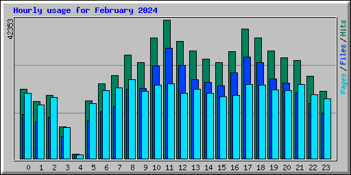 Hourly usage for February 2024