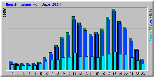 Hourly usage for July 2024