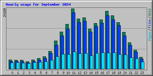 Hourly usage for September 2024