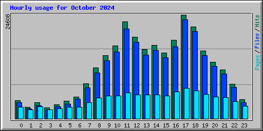 Hourly usage for October 2024