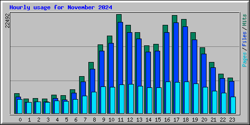 Hourly usage for November 2024