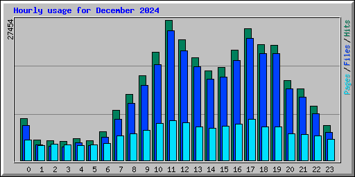 Hourly usage for December 2024
