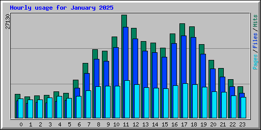 Hourly usage for January 2025