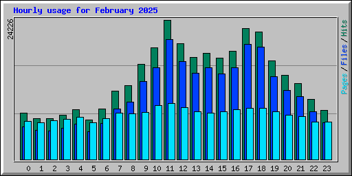Hourly usage for February 2025