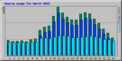 Hourly usage for March 2025