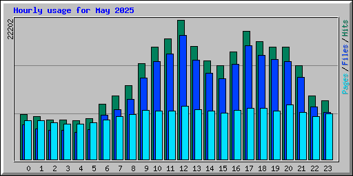 Hourly usage for May 2025