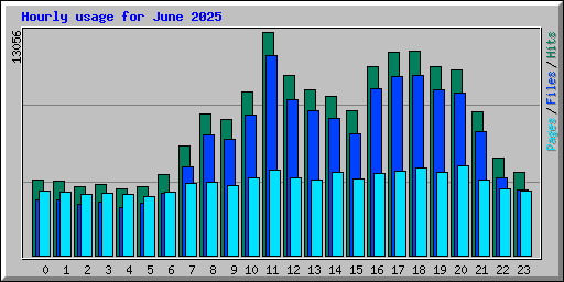 Hourly usage for June 2025